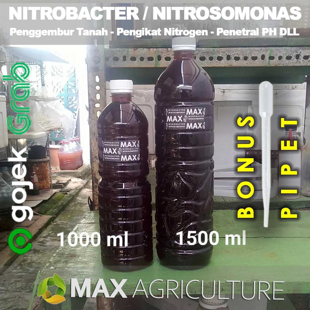 Biang Nitrobacter Nitrosomonas Pertanian Tanaman Pembenah Tanah 1 lt