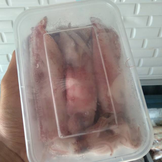 

Cumi cumi merah