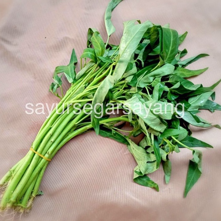 

Kangkung 1 Ikat