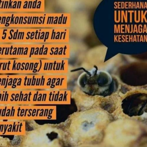 

★★ VVKD Madu Asli Murni - Madu Odeng Manis Alami Hutan Baduy ❇ ★★