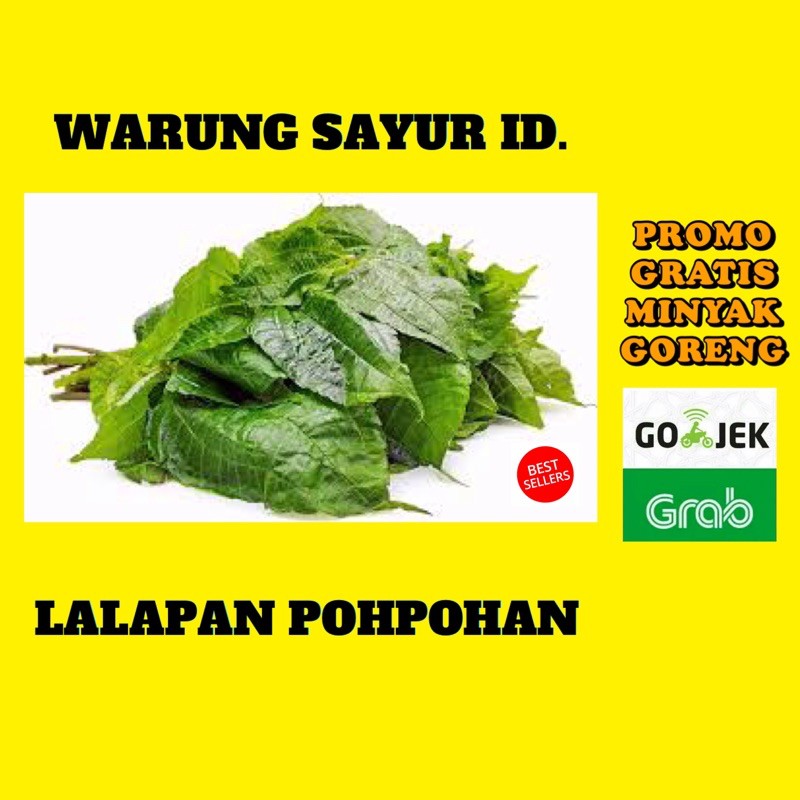 

LALAPAN POHPOHAN