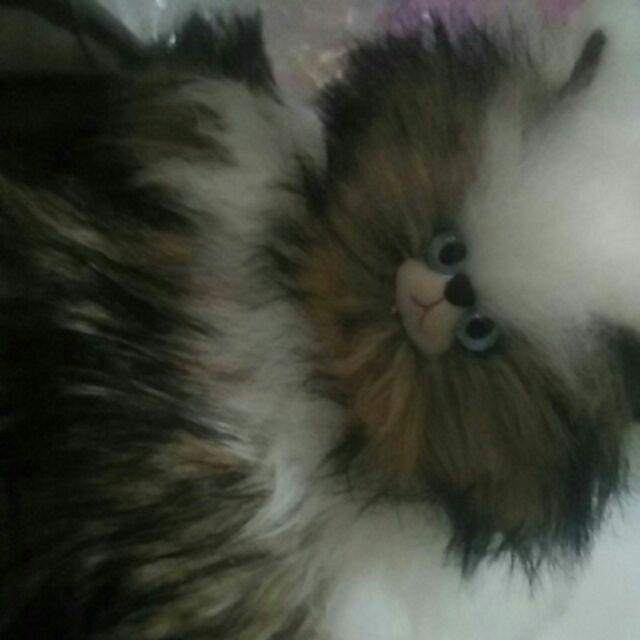 Tempat Tisue Kucing Imut