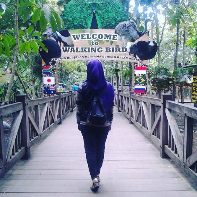 indrawatibakrie