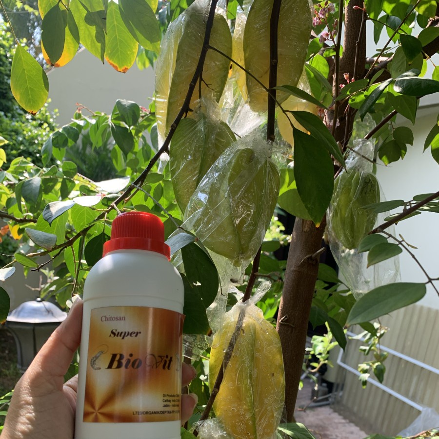 Chitosan Biovit pupuk organik cair 300ml