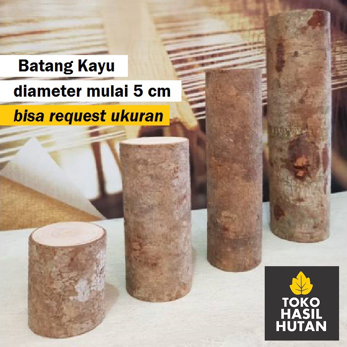 Batang Kayu Kopi / Pinus Untuk Kerajinan, Hiasan & Dekorasi | Toko Hasil Hutan