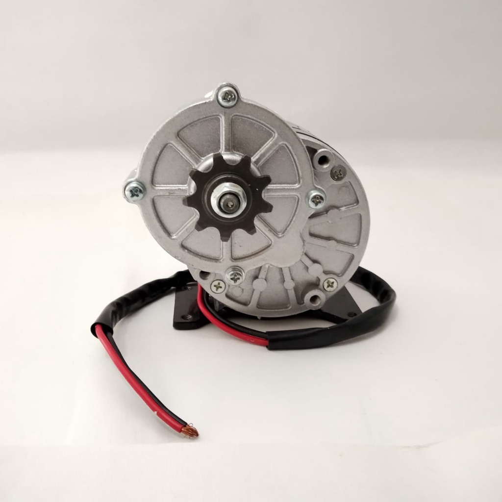 Paket!Dinamo Motor plus Bracket MY1016Z3 Brushed 350W 24V-36V (7075GX)