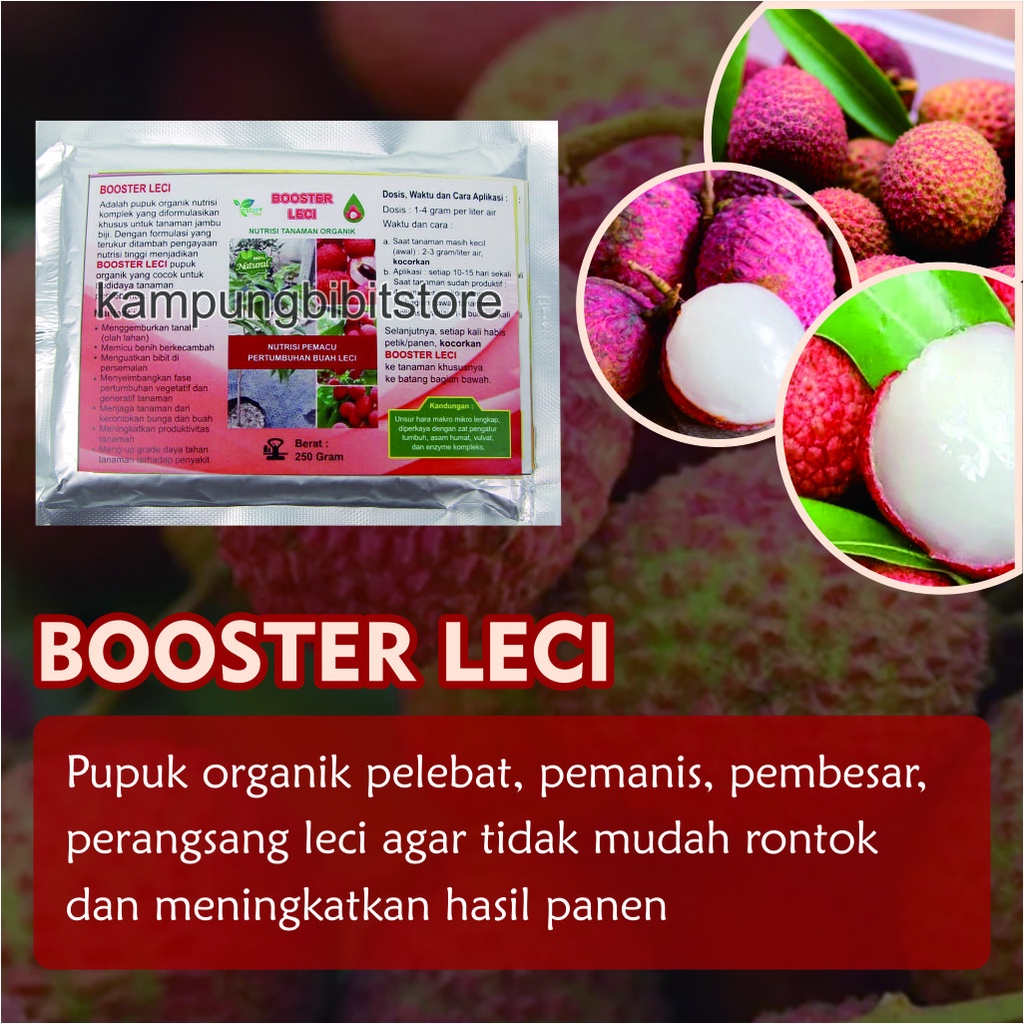 Pupuk Booster Pohon Leci, Booster Leci Agar Berbuah Lebat