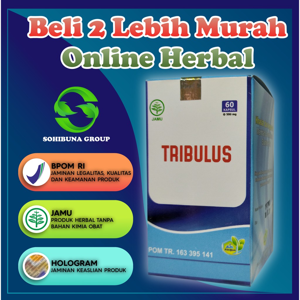 Tribulus Terrestris BPOM, Obat Kesuburan, Kesuburan Pria, Kesuburan Wanita, Program Kehamilan