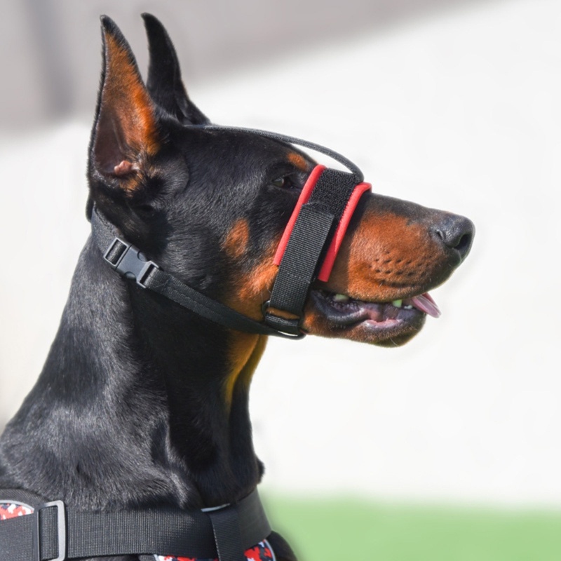 Muzzle Pelindung Mulut Bahan Nilon Breathable Untuk Pelatihan Anjing