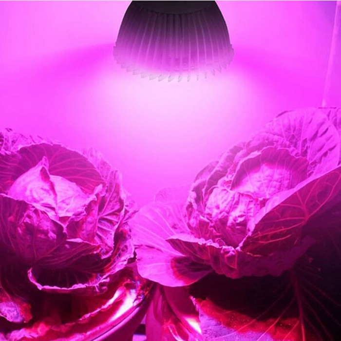 Lampu Tanaman Hidroponik Grow Light Hydroponic Led 8W E27