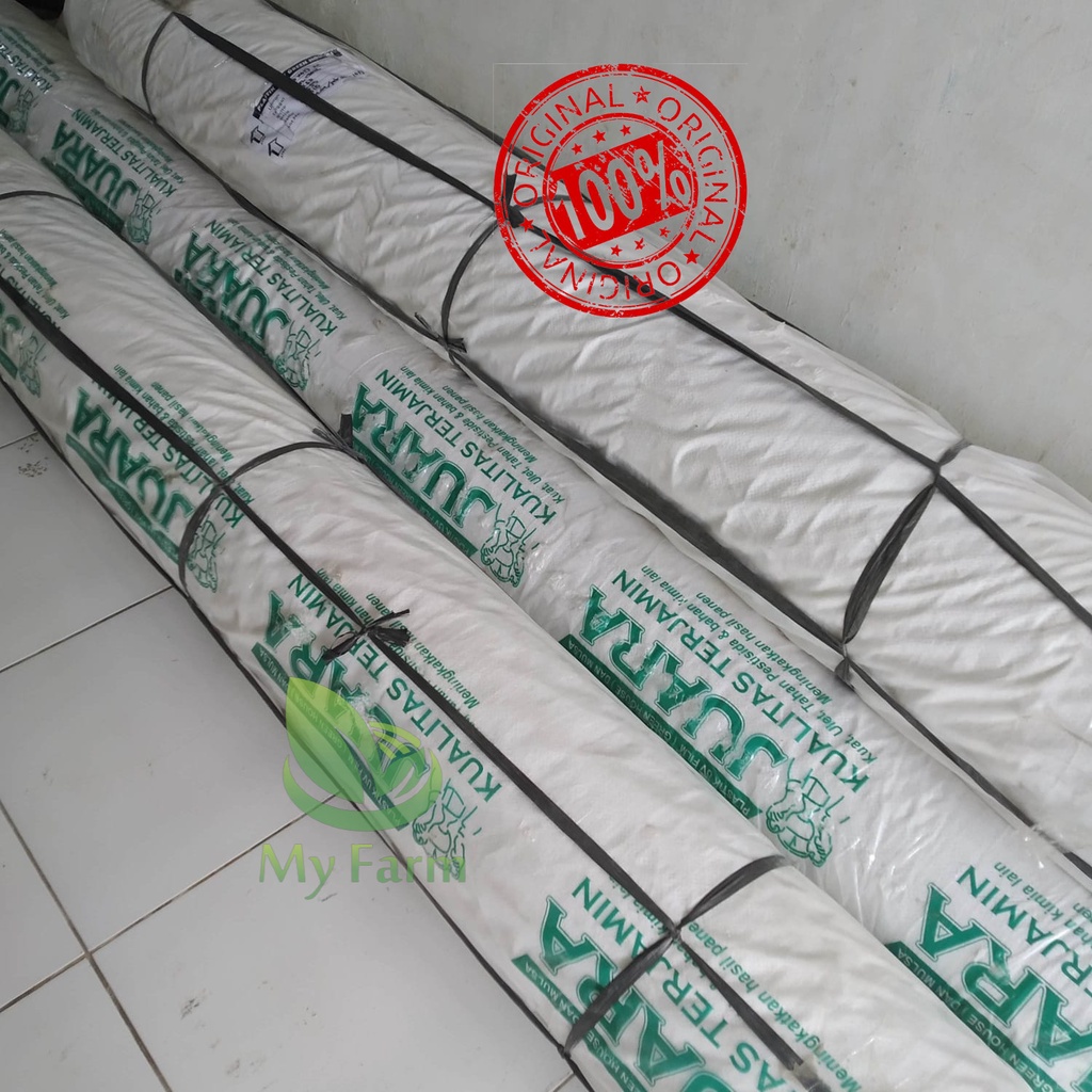 Plastik UV JUARA 1 Roll Lebar 6meter Panjang 100meter (UV14%-170 Micron) Tebal 0.17mm Atap Tanaman