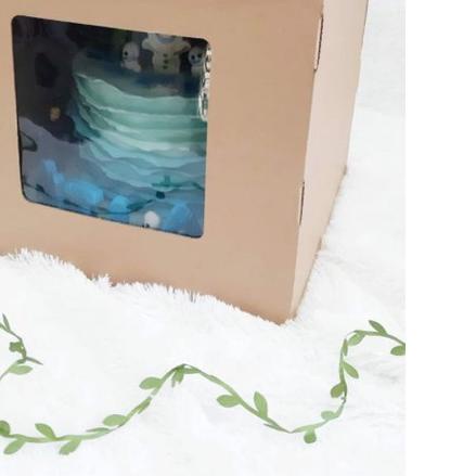 

(NO MIN ORDER) Dus Kue Tinggi 30x30x30 Cake Tall Box Packaging Elegan Birthday Hampers Ultah