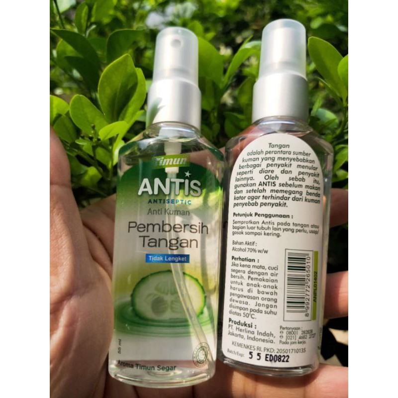 Antis Antiseptic Spray 55 ml