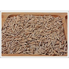 Seeds & Biji & Benih Tanaman Hias Adenium CABANG SERIBU (CABSER)