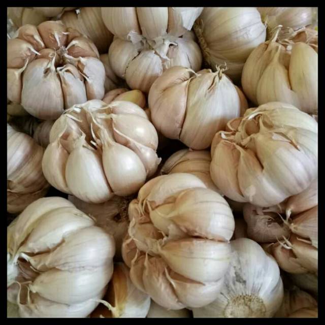 

Bawang putih bulat 1 kg