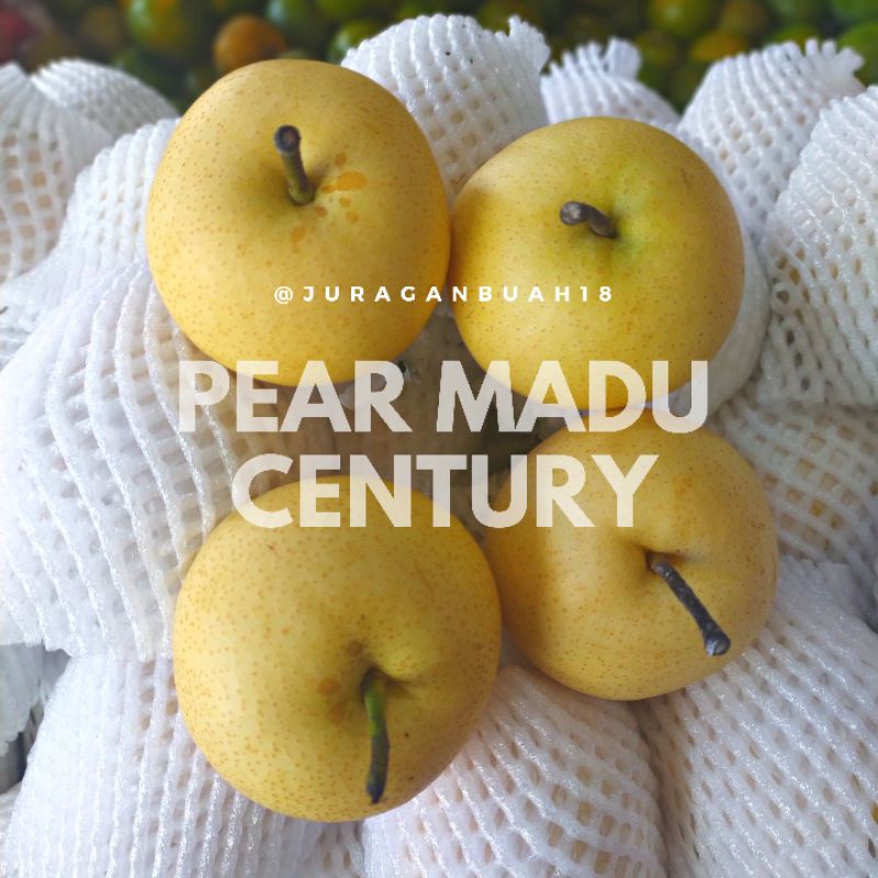 Jual Pear Madu Pear Century Fresh 1kg 3 5buah Juraganbuah18 Shopee Indonesia 