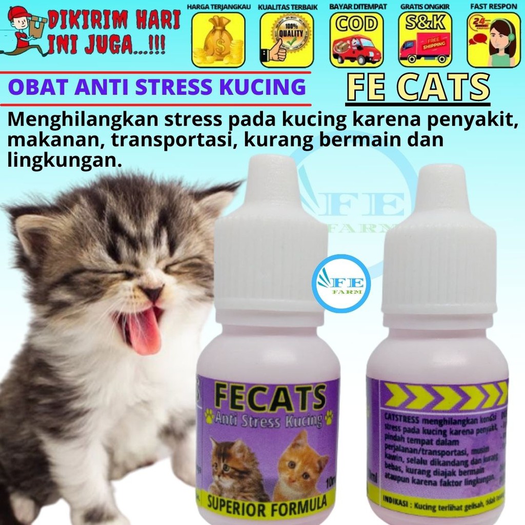 Obat Kucing Anti Stres Penghilang Stress Kucing Cat Kitten Fecats FEFARM