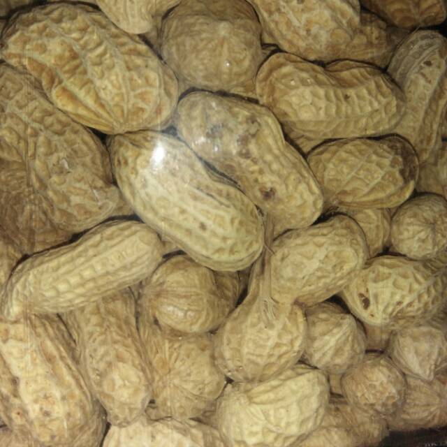 

Kacang kulit rasa asin 200gr