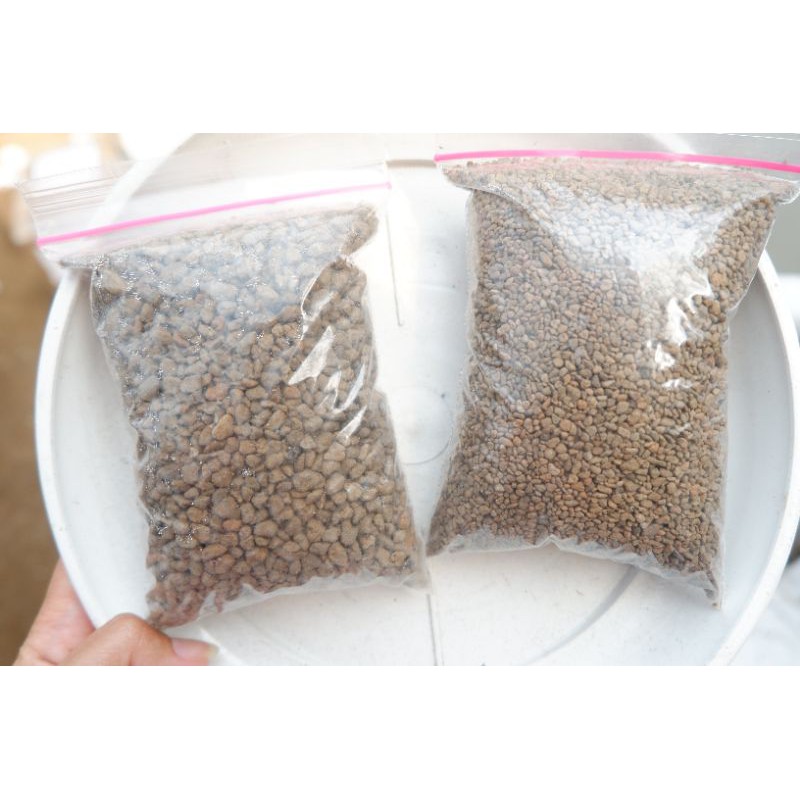 Pumice Media Tanam Sukulen 200gr