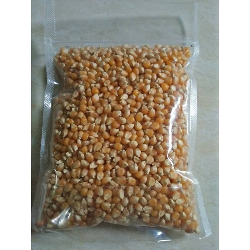

HOT SALE JAGUNG POP CORN+JAGUNG IMPORT 500G+UNTUK MEMBUAT POP CORN LEBIH PRAKTI !