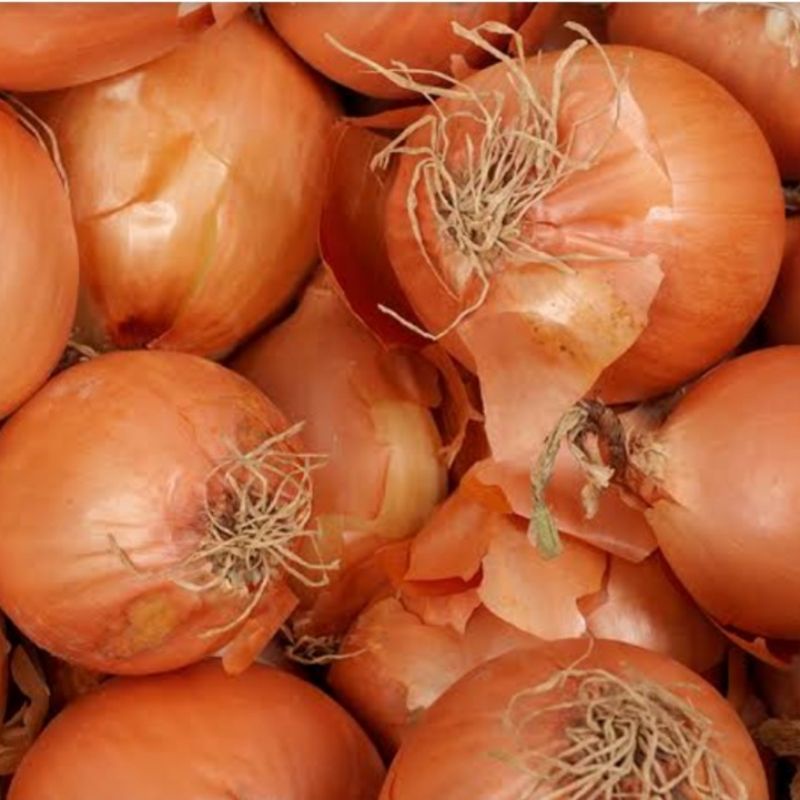 

Bawang Bombay Murah 250 gr