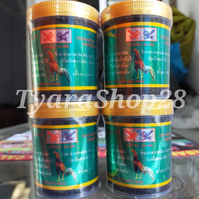 Obat Luka Dalam Basah Ayam Kamlang Luka Dalam Thailand thainachai