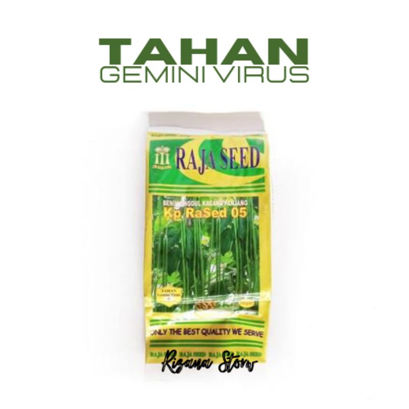 Raja Seed Rased Benih Kacang Panjang Unggul Tahan Gemini Virus