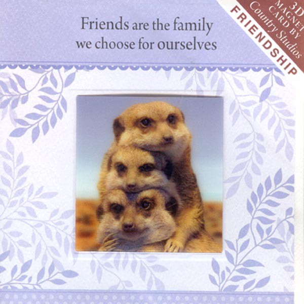 

3D Card With Magnet Card Gambar Tupai