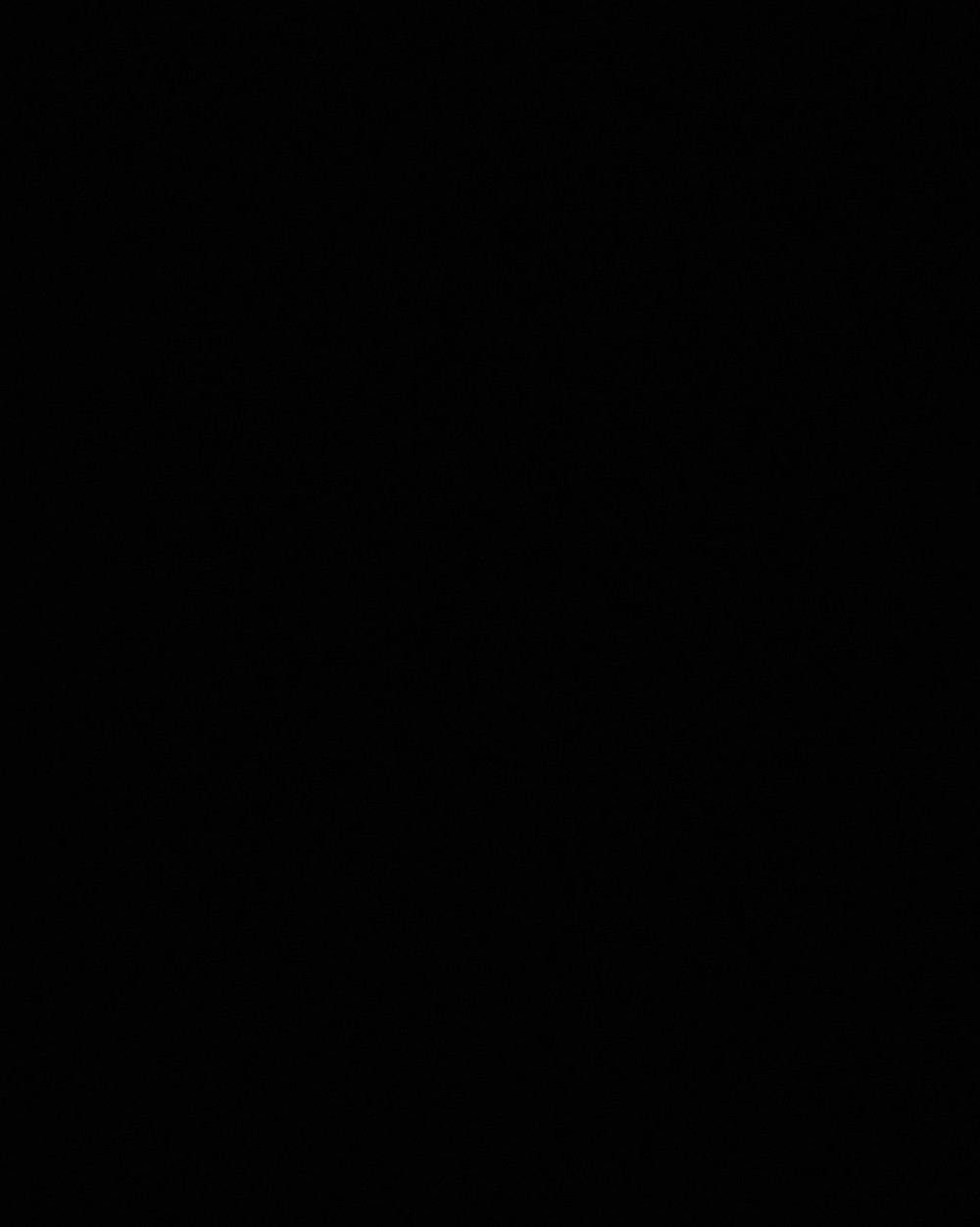 Pisau Ukir Buah / Pisau Garnish / Pisau Carving Tumpeng Garnis Sayur