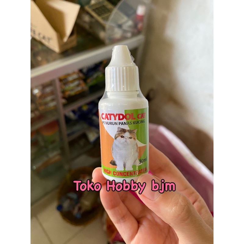 Catydol cat obat penurun panas demam kucing sakit kitten meredakan gejala adult kiten anak anakan