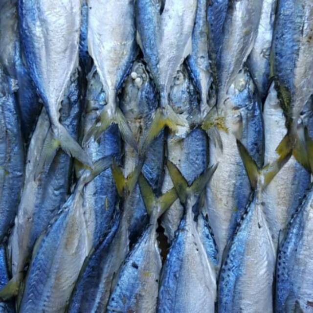 

Kembung Rebus Guring 500gr