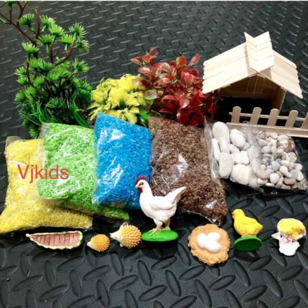 

set sensory play anak life cycle ayam dan kupu-kupu montessori anak - set ayam Diskon
