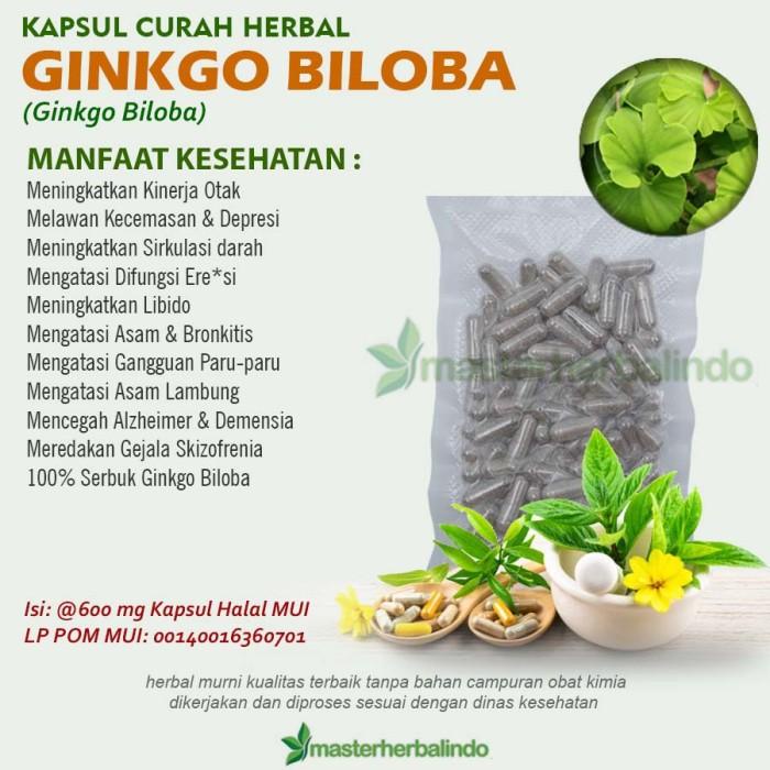 Ginkgo Biloba 100 Kapsul Curah Herbal Libido Anti Aging Kinerja Otak