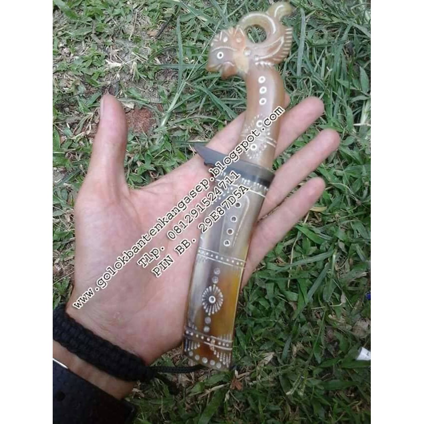 golok mini full tanduk bule