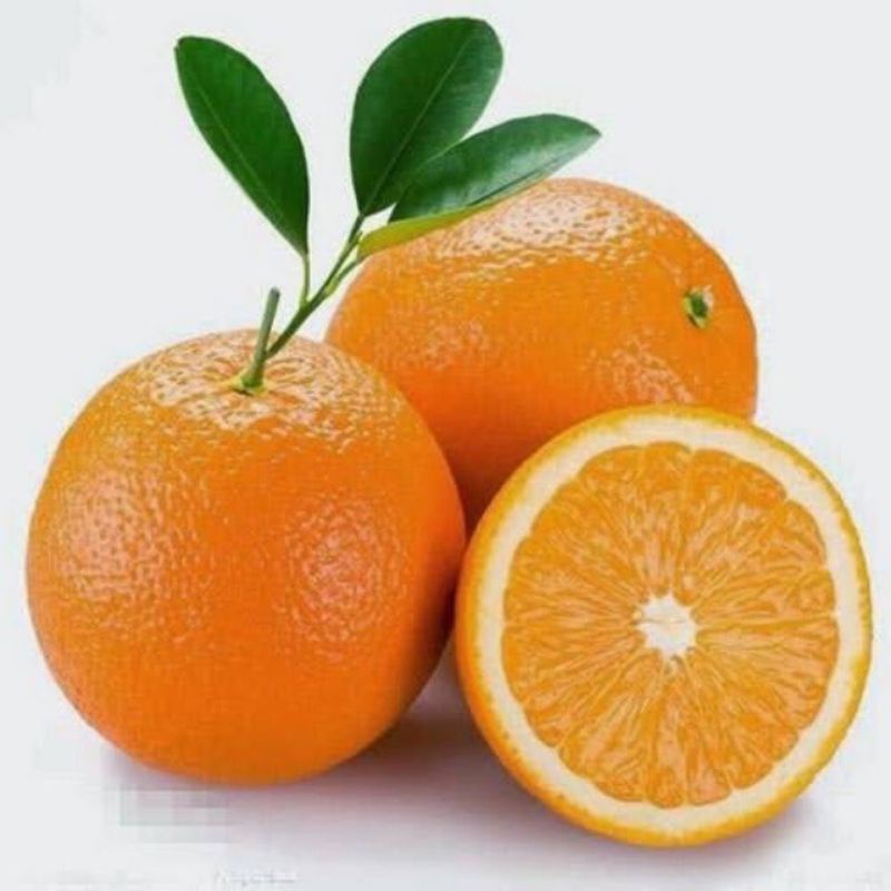 

Om Juss | Jeruk Sunkist Valencia Segar 1 Kg Jeruk Sunkist Orange
