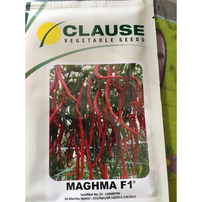 benih bibit cabe kriting maghma F1 10gram
