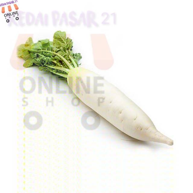 

Kedai pasar21 Grosir 500 gram Lobak Putih Segar Murah