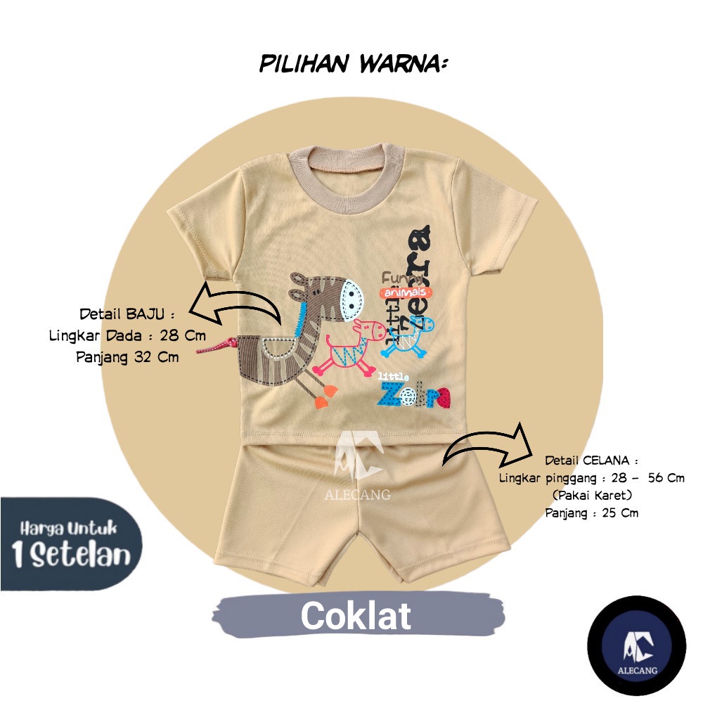 Setelan Pendek Baju Bayi Laki-laki size 6 - 12 Bulan Merk EDRYCA