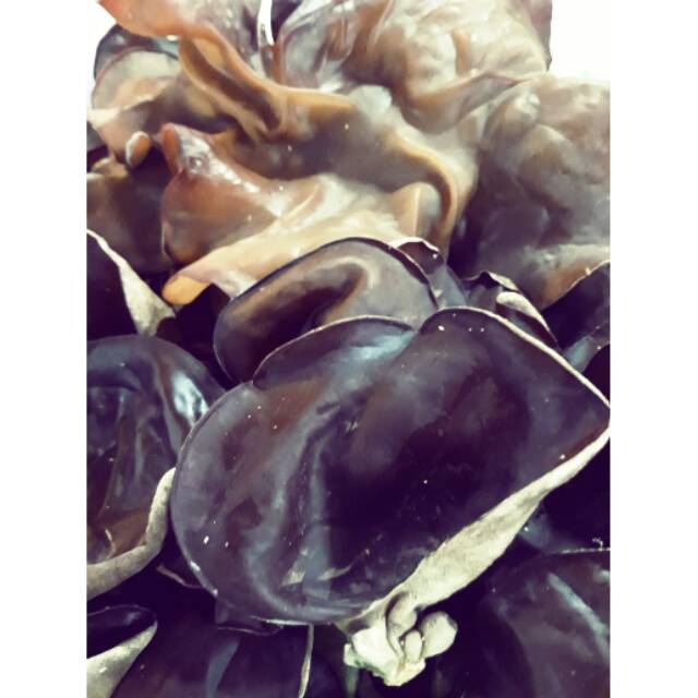 

Jamur Kuping 250gr