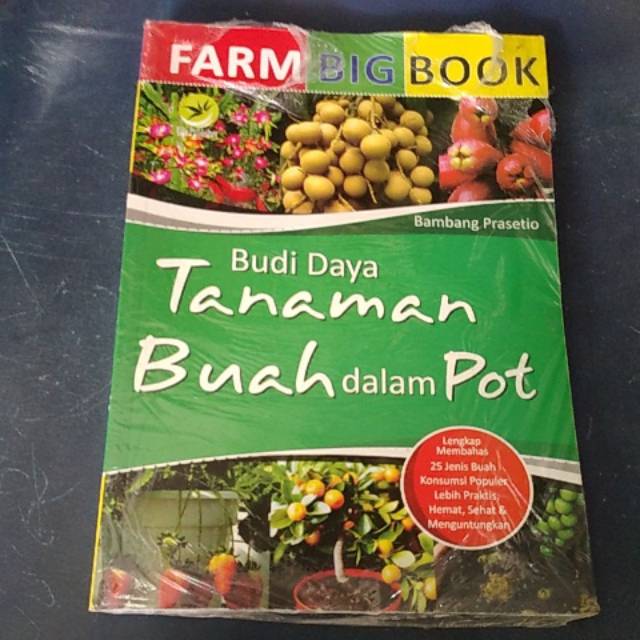 Tanaman buah dalam pot