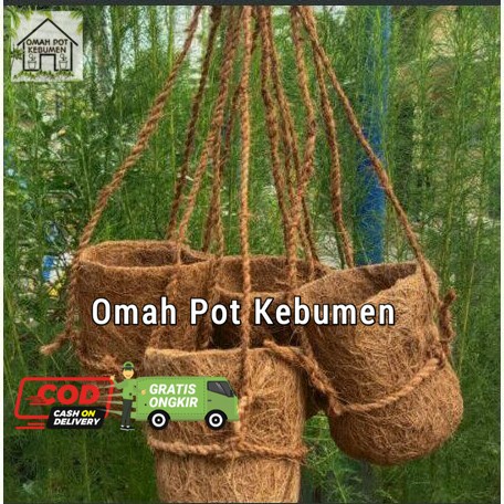 pot anggrek sabut kelapa gantung / pot penyubur anggrek / pot seedling anggrek