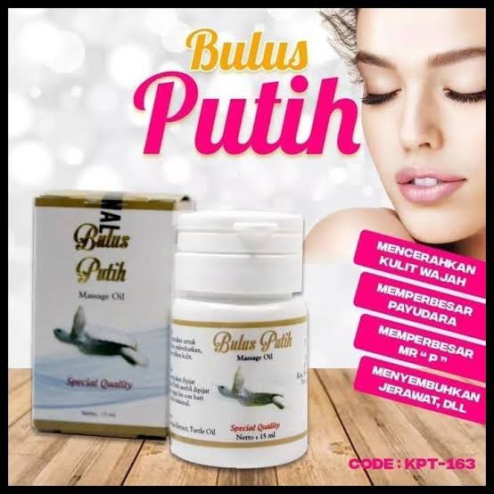 BIO HERBAL MINYAK BULUS PUTIH ORIGINAL MASSAGE OIL PEMBESAR PAYUDARA WANITA BIOHERBAL MINYAK BULUS