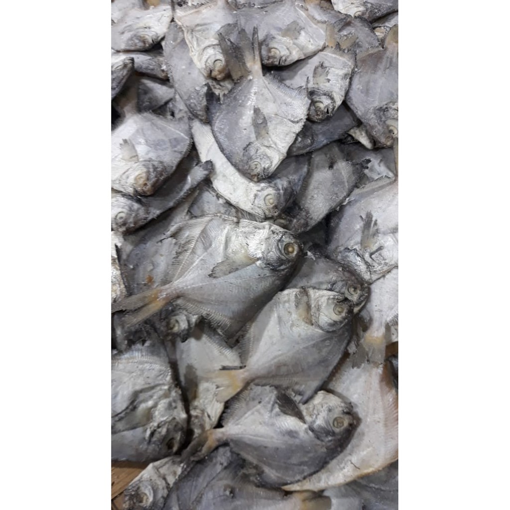 

Anak ikan asin 1 Kg