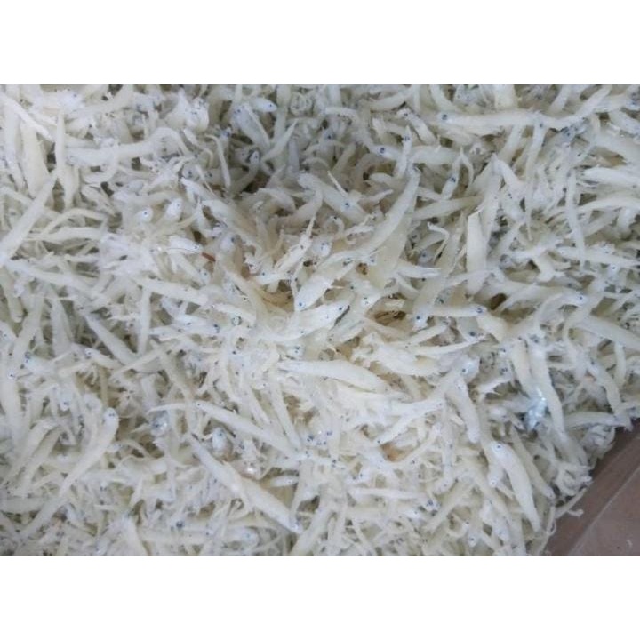 Ikan Asin Teri Nasi Medan 1Kg Murah Ikan Teri Nasi