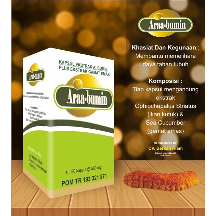 

Gamat Emas ARAABUMIN Ikan Kutuk Kapsul Ekstrak Albumin - 80 kapsul