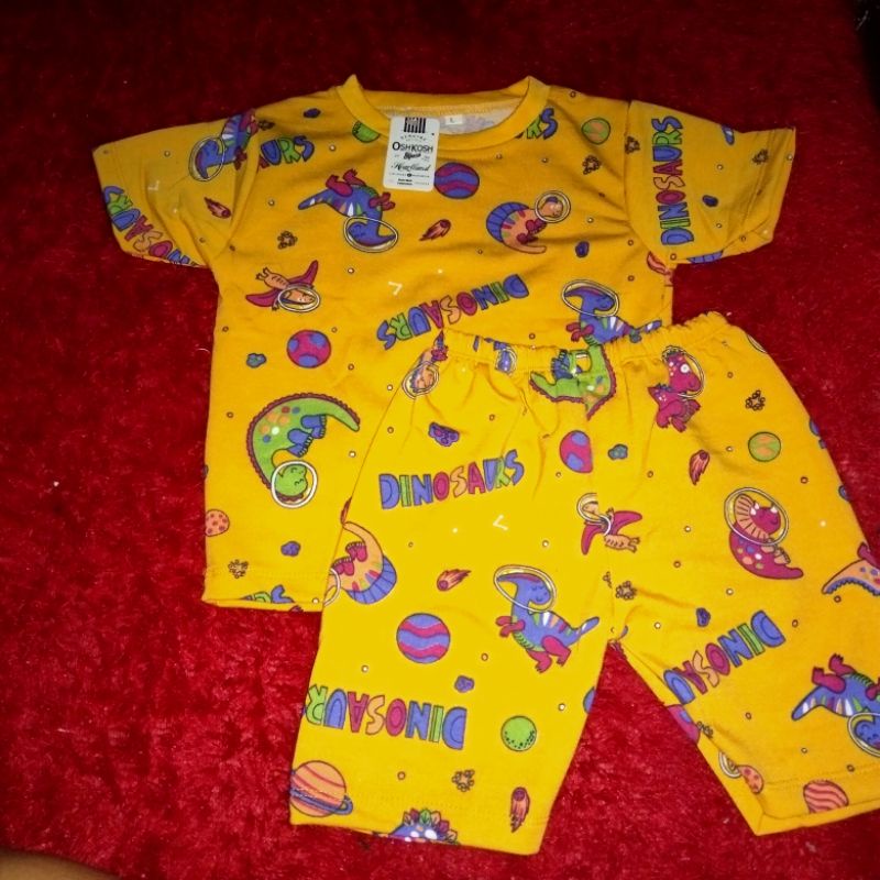 SETELAN ANAK LAKI-LAKI/SETELAN BABYTERRY IMPORT MOTIF DINOSAURUS