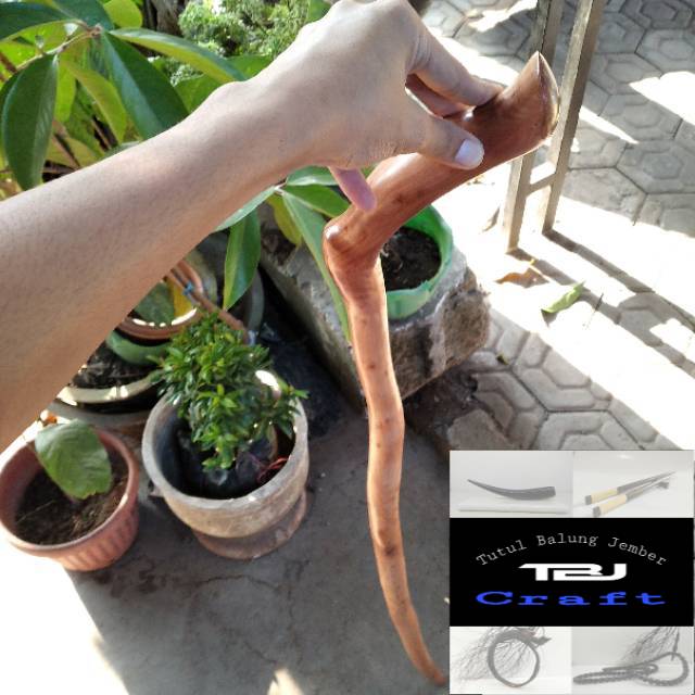 Tongkat jalan kayu stigi natural asli TBJCraft