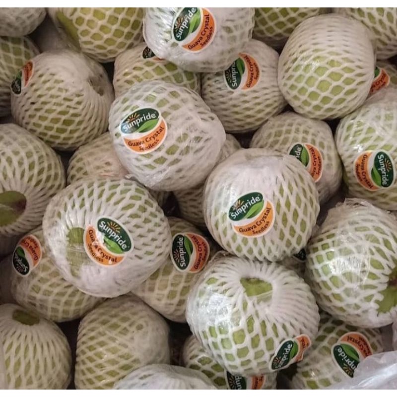 

JAMBU KRISTAL SUNPRIDE 1KG/BUAH JAMBU KRISTAL SUNPRIDE FRESH