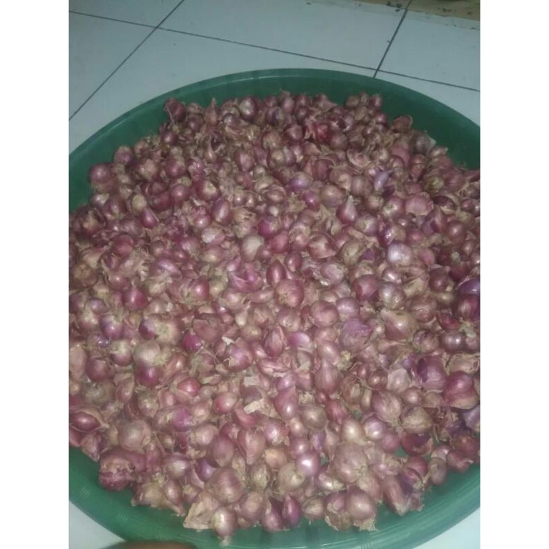 

BAWANG MERAH BREBES SUPER 1KG