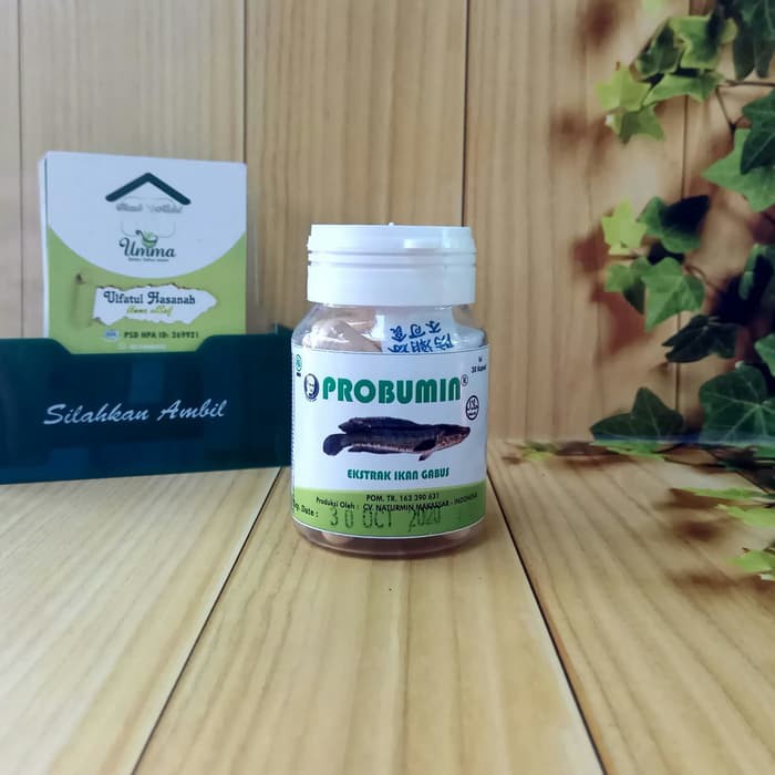 

Probumin ekstrak ikan gabus hpa international